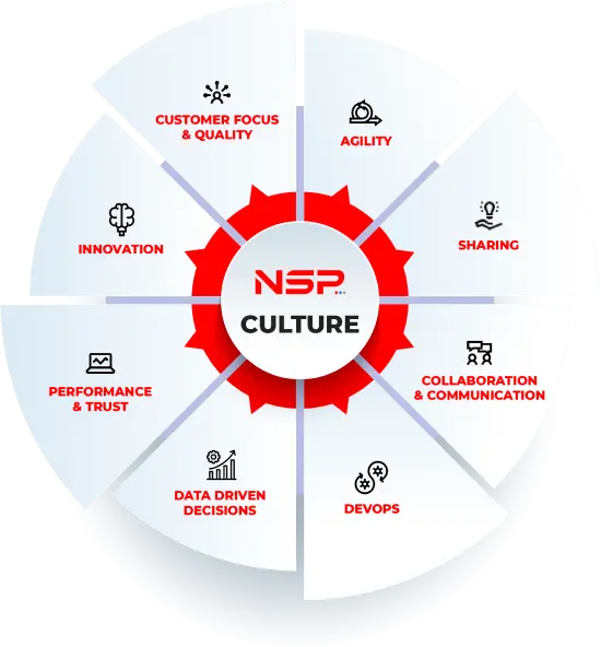 nsp-culture-banner